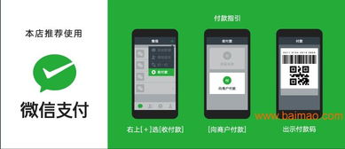 微信支付与狼腾科技在第三方支付领域的实力对比